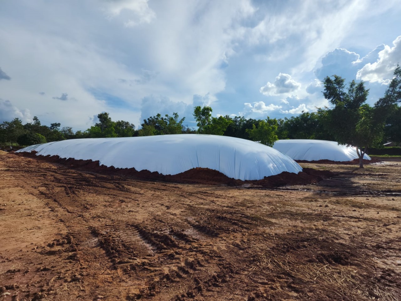 Lona Dupla Face Resistente 8x14m Para Silagem Durabilidade - Imagem 4