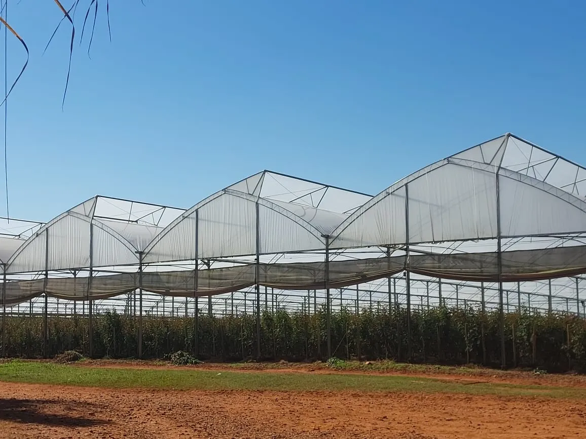 Filme Plástico Difusor Estufa 8x5m 200 Micras Transparente - Imagem 5
