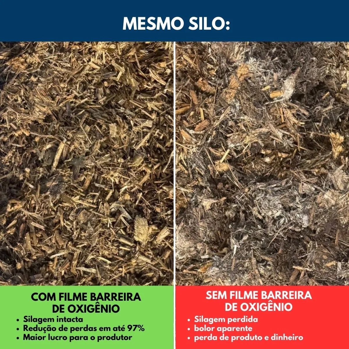Lona Barreira Oxigênio Silagem 16x10 Alta Proteção Qualidade - Imagem 5